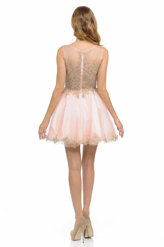 Blush Pink Sleeveless Stone Embroider Sheer Mesh Short Dress