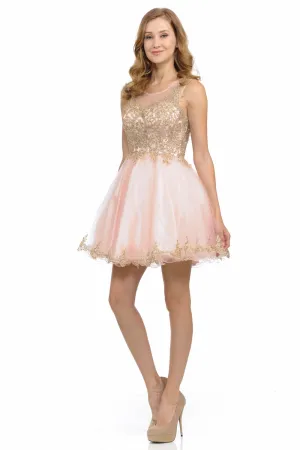 Blush Pink Sleeveless Stone Embroider Sheer Mesh Short Dress