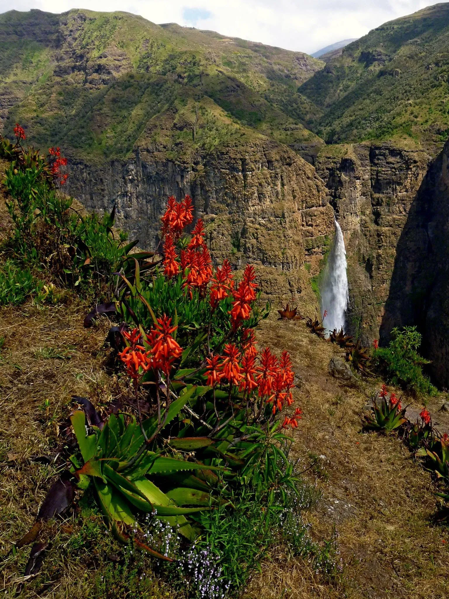 Ethiopia : Mountains & Metropolis
