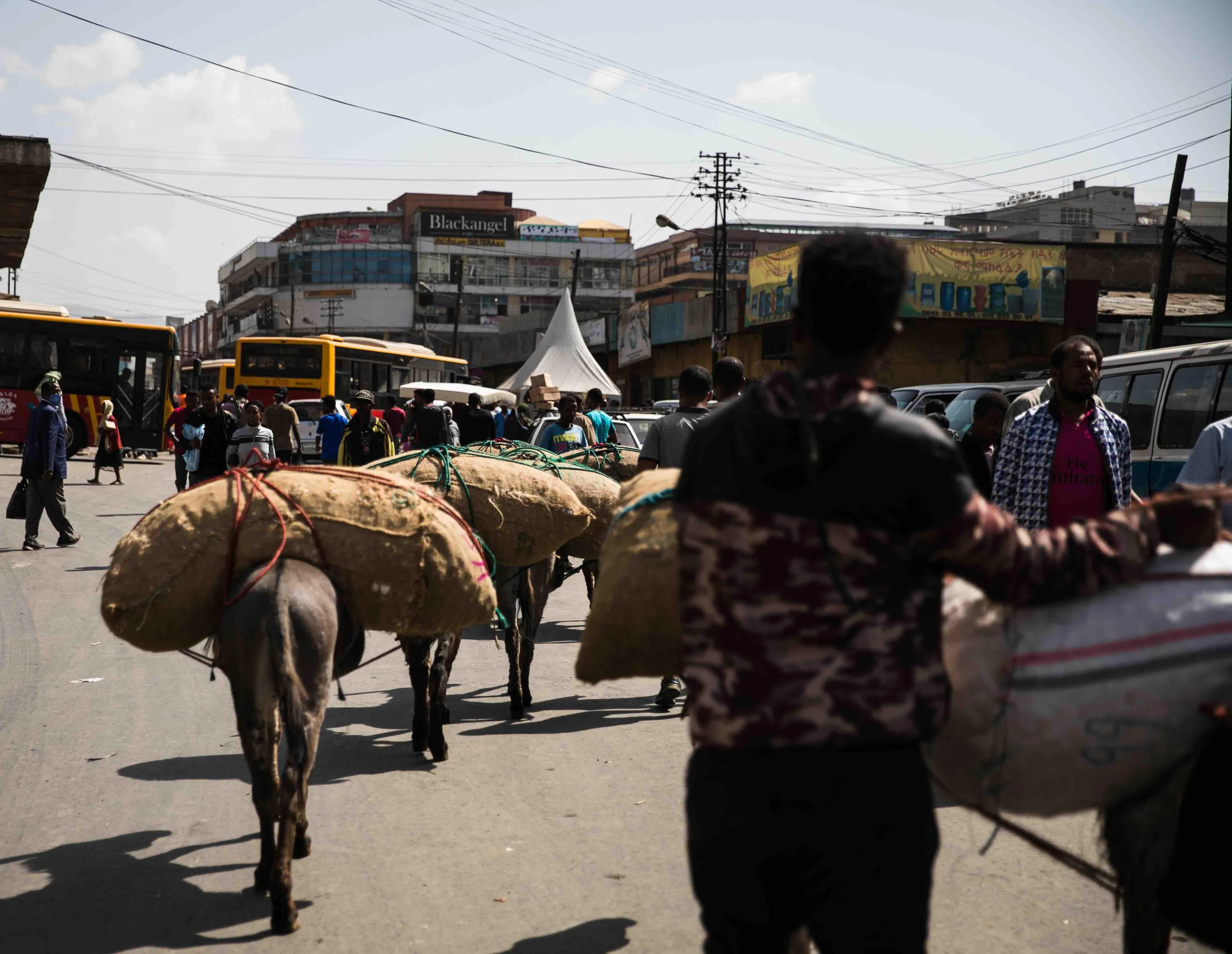Ethiopia : Mountains & Metropolis