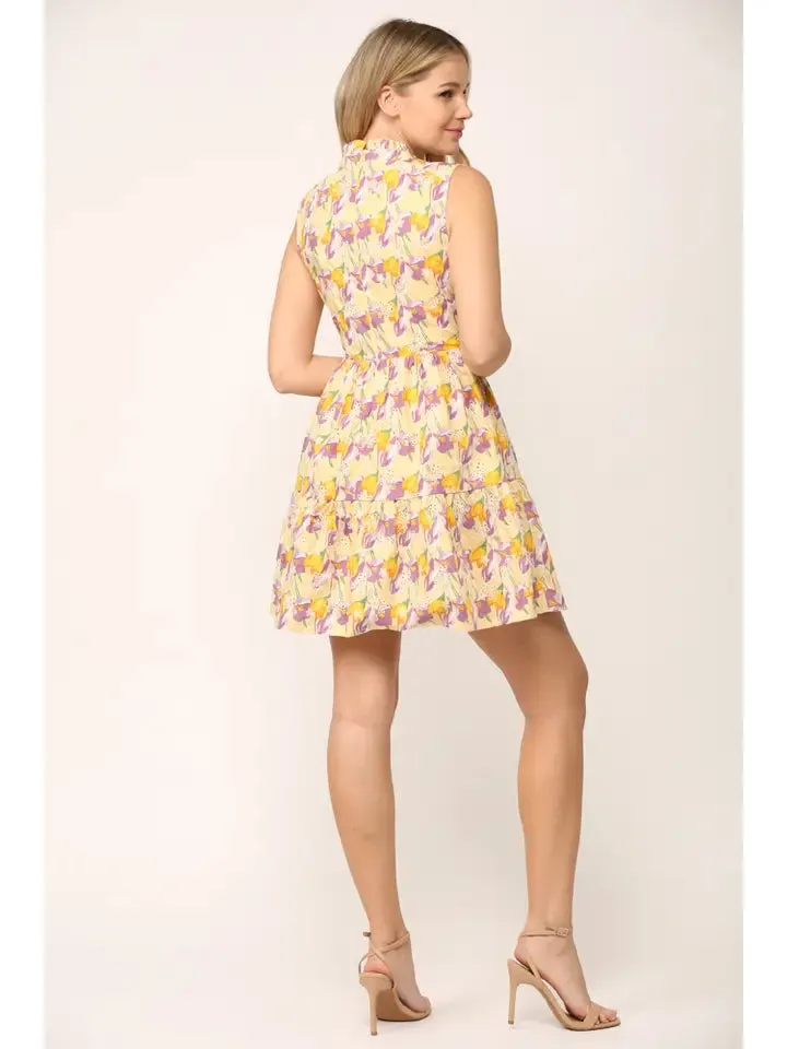 Floral Embroidered Frill Neck Sleeveless Dress