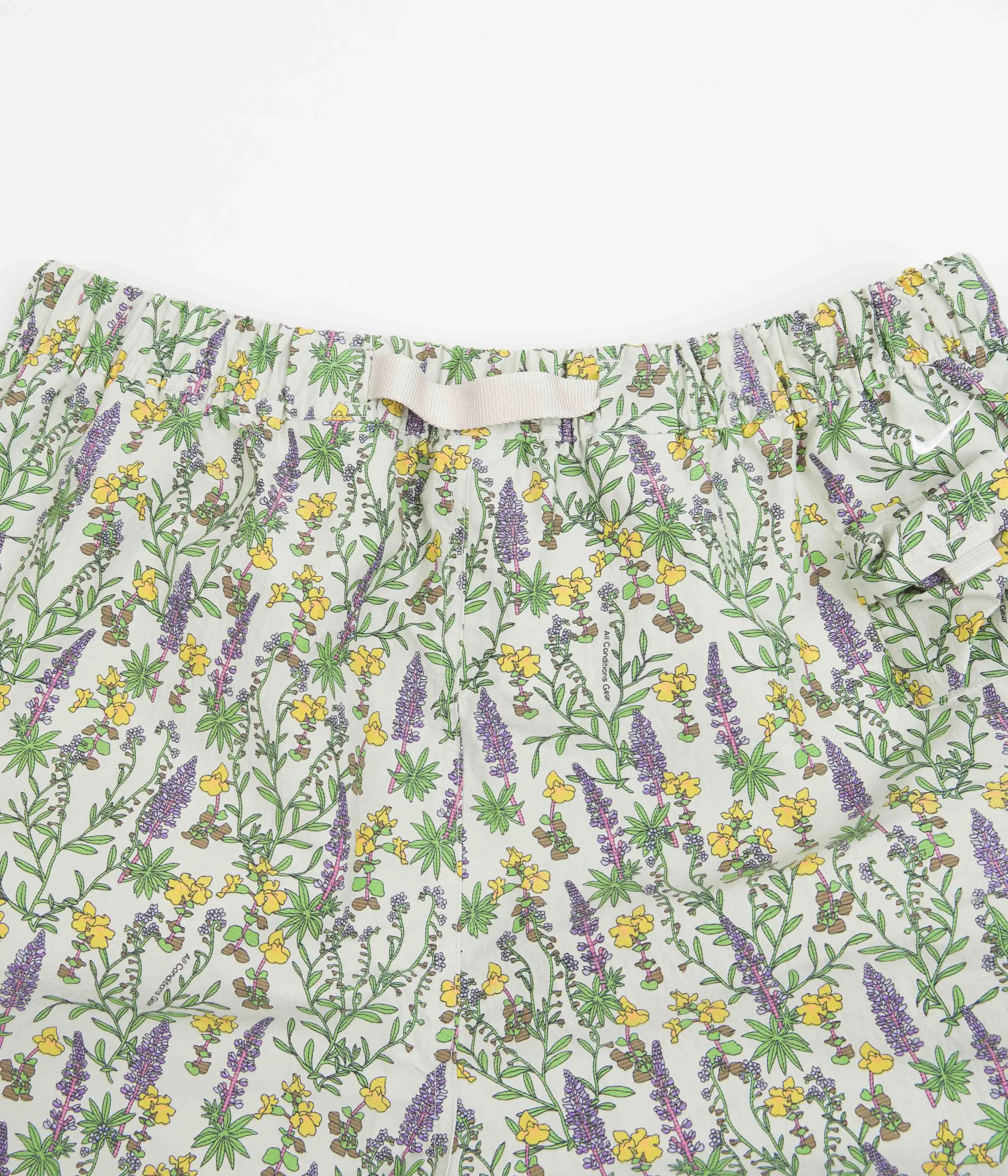 Nike ACG Snowgrass Cargo Shorts - Light Bone / Light Iron Ore / Summit White