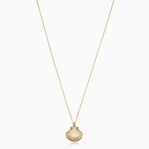 Seashell Pendant Necklace