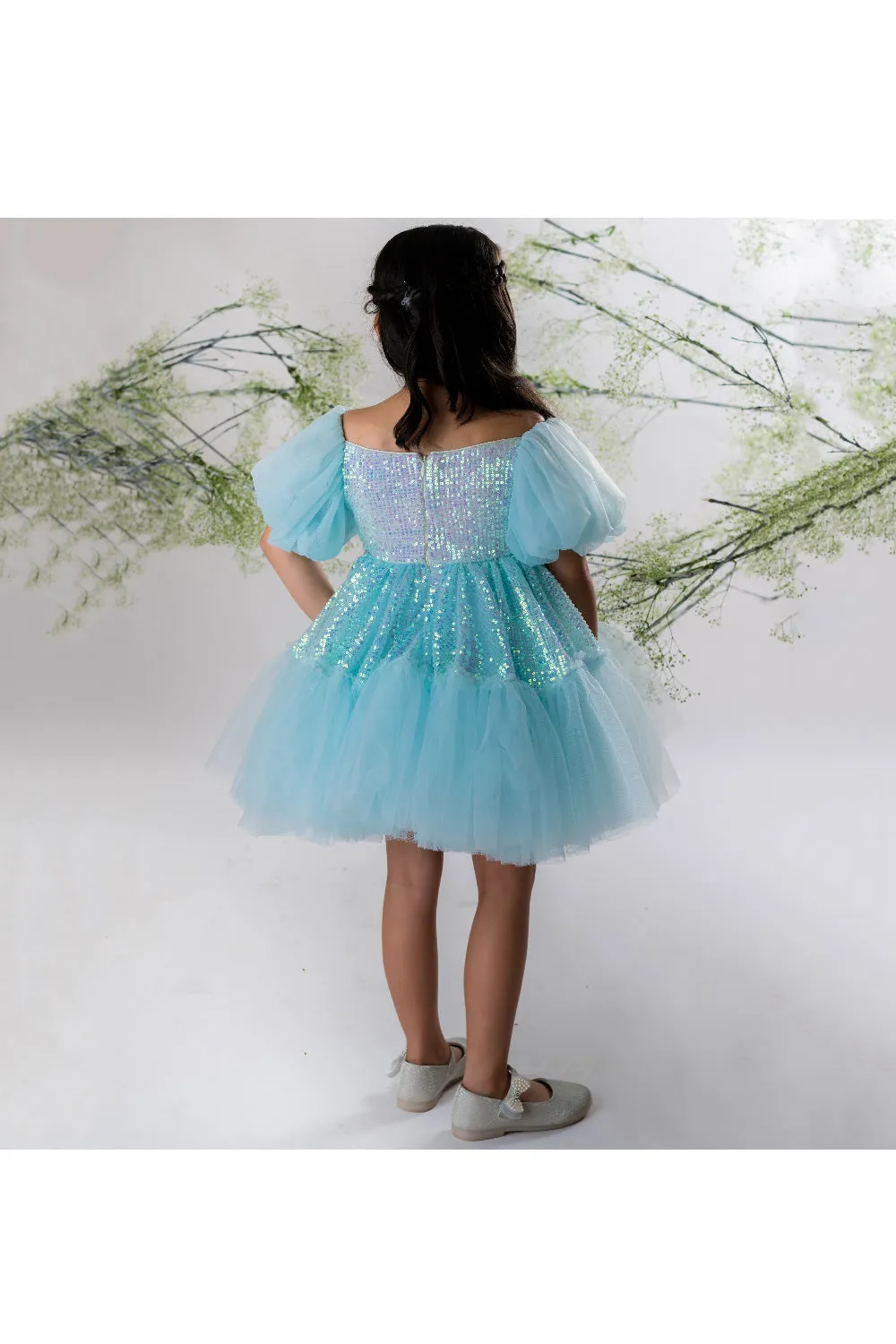 Sequins Embroidered Net Dress