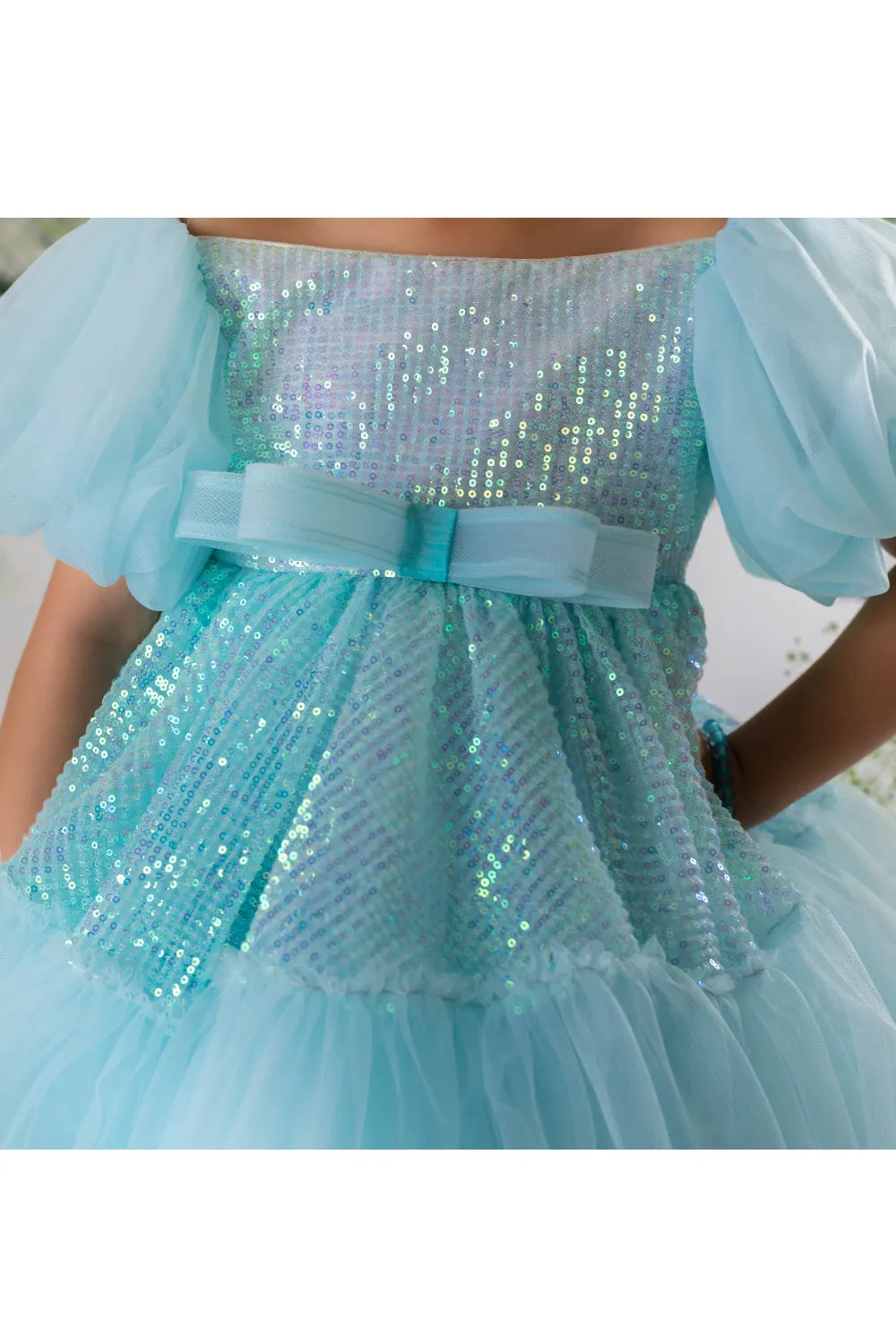 Sequins Embroidered Net Dress