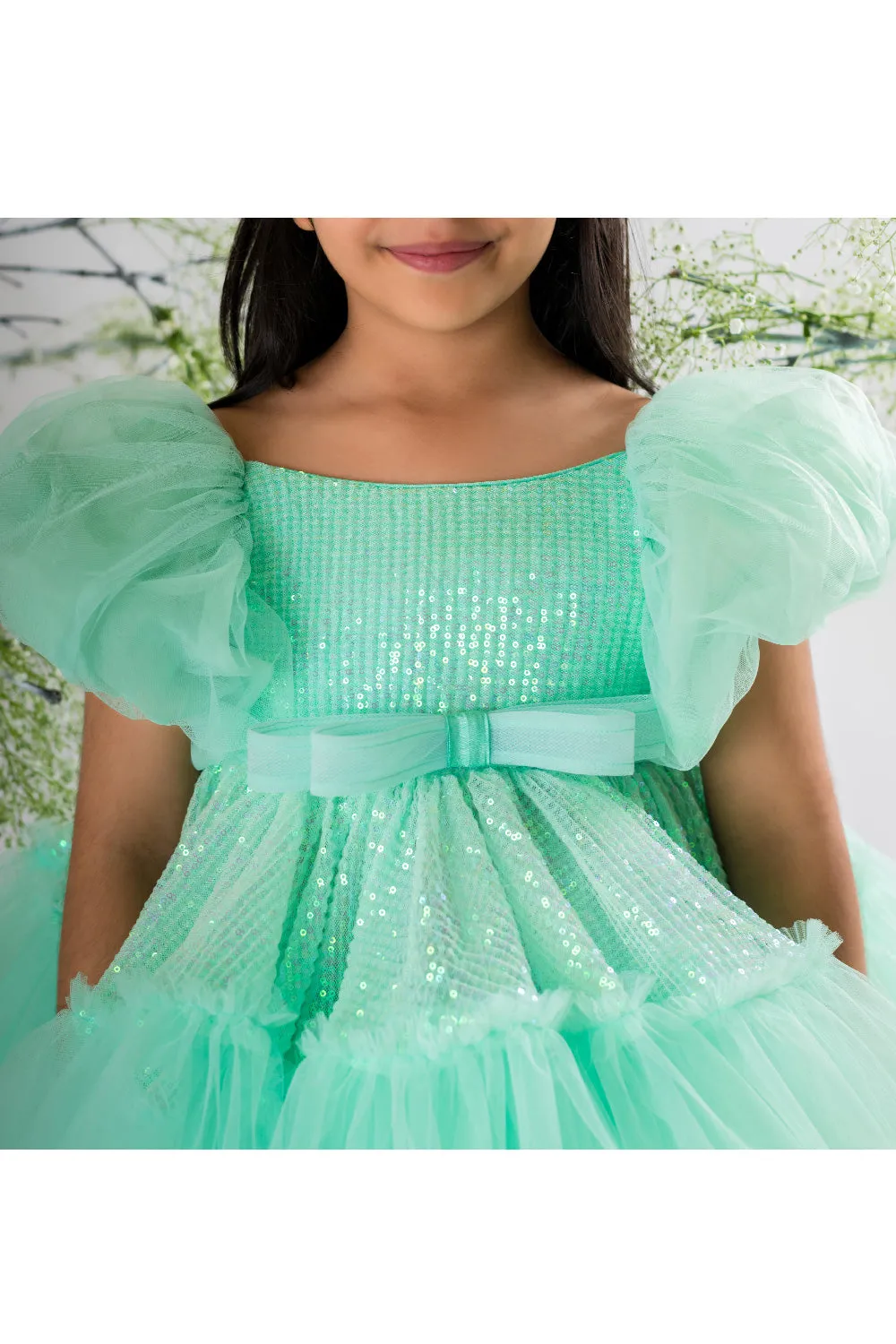 Sequins Embroidered Net Dress